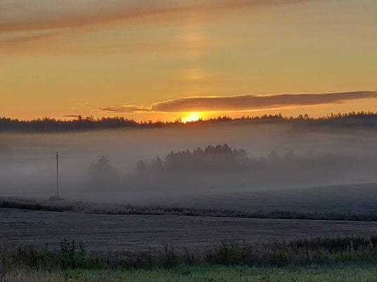 Puutarhurin perjantaipostia 20.9.2019