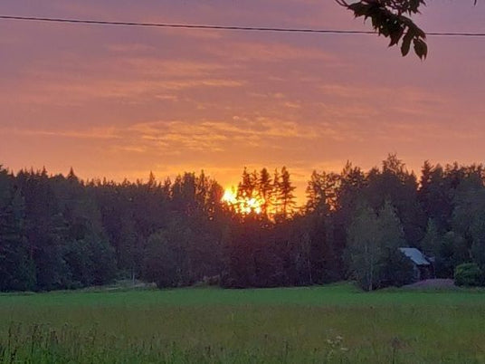 Puutarhurin perjantaipostia 19.7.2019