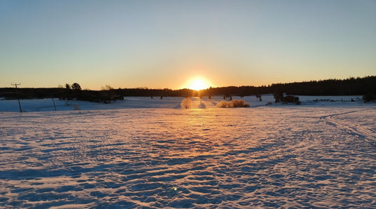 Siemenpussien kylvöajat ei ole tehty meille, Inventoidaan ja tehdään koekylvöksiä, Keijumekon siementen salaisuus, ym. 26.1.2024