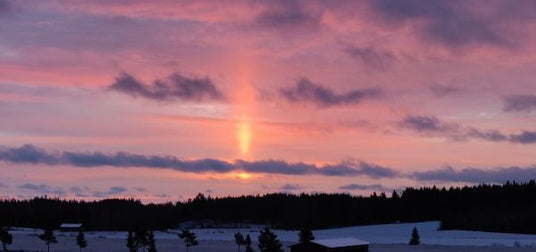 Puutarhurin perjantaipostia 13.12.2019