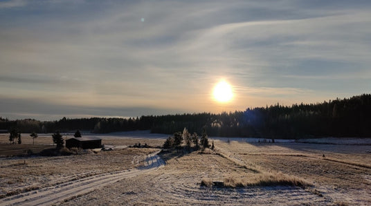 Lämmin kiitos tuesta pienen kyläkoulumme ja päiväkodin puolesta, Kasvinsuojeluwebinaari, Kuu kääntyi - joulukuusen kaatoon, ym. 3.12.2021