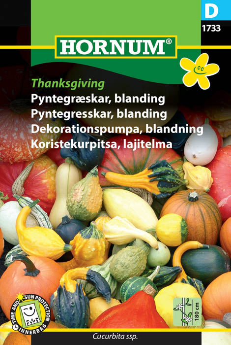 1 pss Koristekurpitsa Thanksgiving