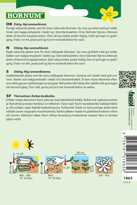 1 pss Punakosmoskukka Candy Stripes