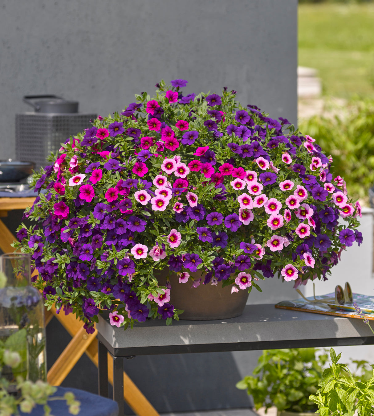 4 kpl Miljoonakello 'Vegas Night Light'