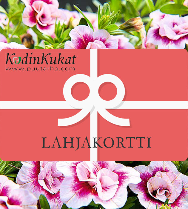 Lahjakortti – puutarhan iloa lahjaksi