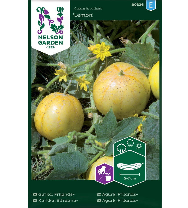 1 pss Sitruunakurkku 'Lemon'