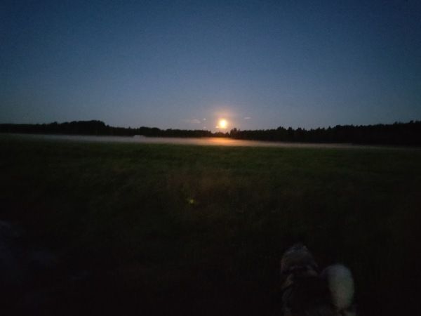 Puutarhurin Perjantaipostia 4.9.2020
