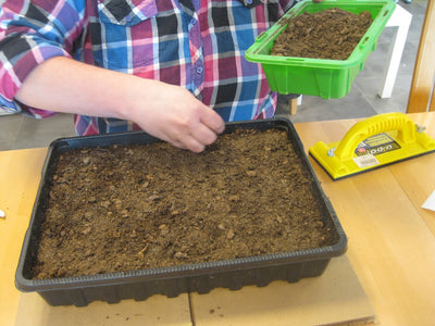 Puutarhurin Perjantaipostia 31.01.2020