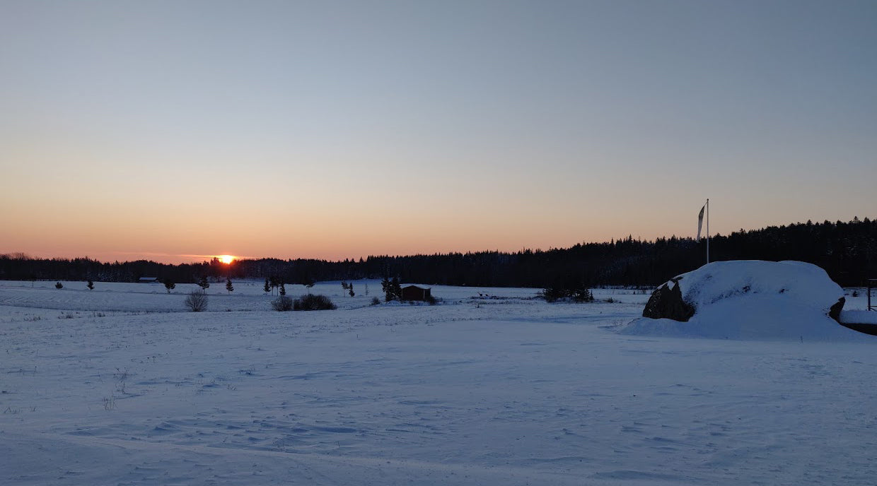 Puutarhurin Perjantaipostia 15.1.2021