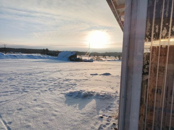 Ystävänpäivä terveisiä, pienien siemenien kylvöniksi, ei hukuteta taimia - kuva kertoo enemmän kuin tuhat sanaa ym. 14.2.2025