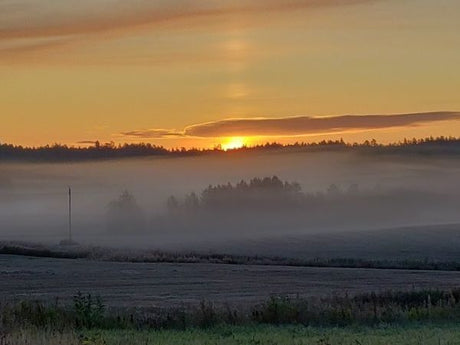 Puutarhurin perjantaipostia 20.9.2019