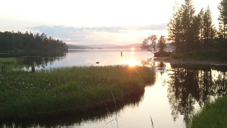 Puutarhurin Perjantaiposti 3.8.2018