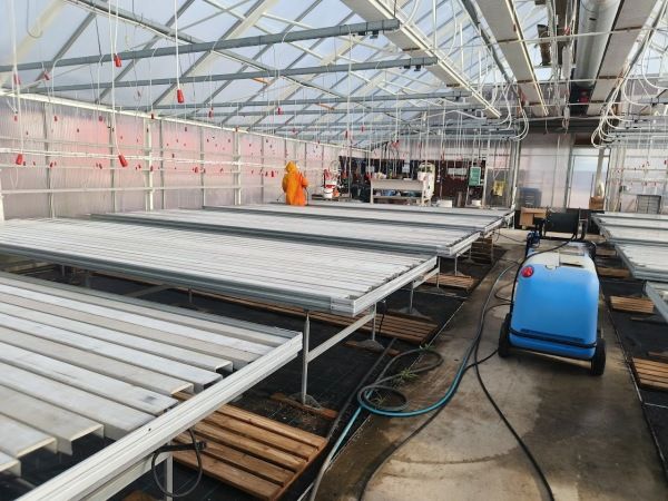 Saarni – lehtipuiden kuninkaallinen – mutta miksi?, Oppaasta oikeaa tietoa, Sunnuntaina köllötellään tuntia pidempään. ym. 24.10.2025