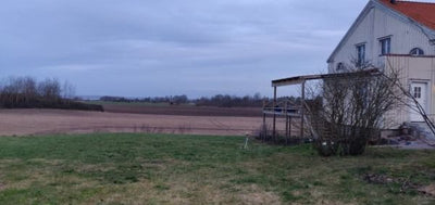 Puutarhurin perjantaipostia 10.1.2020