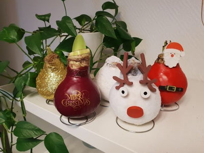 Puutarhurin perjantaipostia 1.11.2019