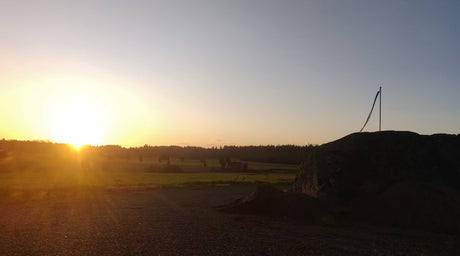 Puutarhurin Perjantaipostia 6.11.2020