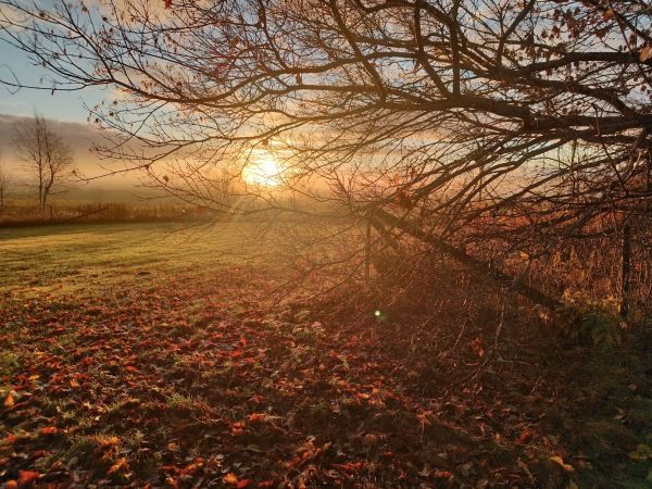 Kellot ja puutarhuri on nyt käännetty oikeaan aikaan. 😉🤭, Minun suosikkini – Kerhotarjouksena myös sinulle, Ei rapise enää – kaksiviikkoa riitti ym. 31.10.2025