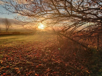 Kellot ja puutarhuri on nyt käännetty oikeaan aikaan. 😉🤭, Minun suosikkini – Kerhotarjouksena myös sinulle, Ei rapise enää – kaksiviikkoa riitti ym. 31.10.2025