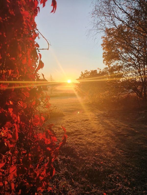 Mahtava pakkasaamu ☀, Talvetus juttuja vielä hiukan, Rännit puhtaiksi  ennen seuraavia sateita ja kaverin kera ym. 17.10.2025