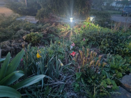 Voiko ihanampaa aikaa olla – luonto heräsi, rytmi vaihtui, Tunnelmia tältä viikolta  - kaikkea ihanaa ja yllättävääkin on käynyt. 😉🥰ym. 15.5.2026