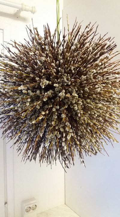 Puutarhurin perjantaipostia 3.4.2020