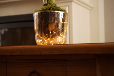 Amaryllis LED-valoruukussa