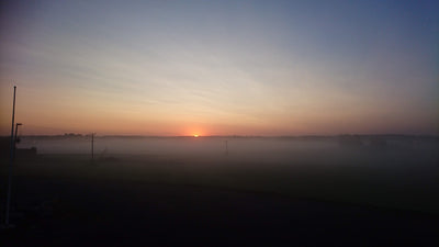 Puutarhurin Perjantaiposti 24.8.2018