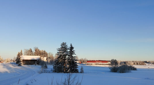 Shh... nyt ne ovat julki, Kasvilavawebinaari, Miksi lehdet pysyvät tiukasti kiinni, ym. 12.1.2024