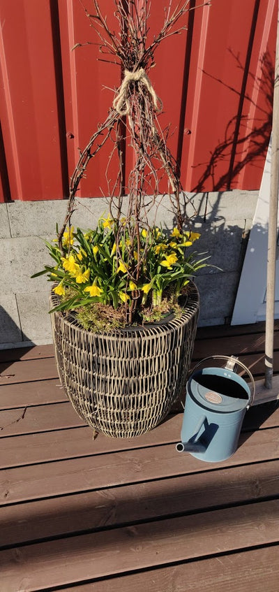 Puutarhurin perjantaipostia 10.4.2020