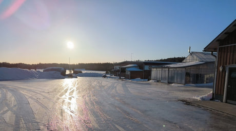 Keväisiä tuulahduksia, Vinkit kestäviin tulppaaneihin, Lumipalloja talvehtiville, ym. 2.2.2024
