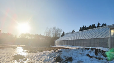 Huputetaan, ei saunoteta, Puuvartisten kasvuvyöhykekartta, Matofarmin astia, ym. 7.3.2025