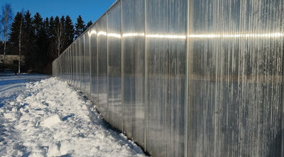 Tammikuusta sanottua, Tarkennus maalämpömittarin kokoon, Mitä kylvetään nyt, ym. 17.1.2025