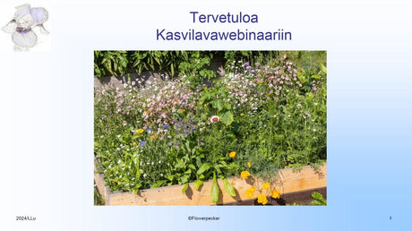 Kasvilava -webinaari