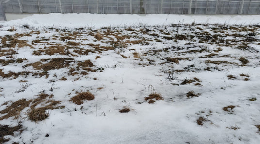 Kylvökepistä ja kasvatusnapeista, Ei ole kasvilla hampaita, Mitä kuuluu matokasvattamolle, ym. 28.2.2025