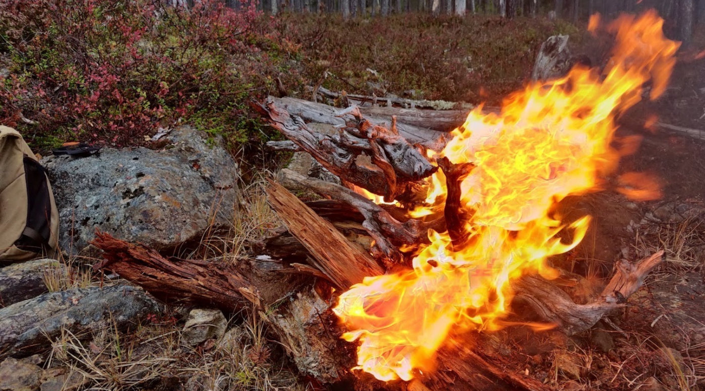 Puutarhurisi palasi retkiltään, Valkosipulien toivottua "käyttölaatua" nyt erä saatavissa, Pakkanen puraisi, Asiaa tuhkasta, ym. 15.10.2021