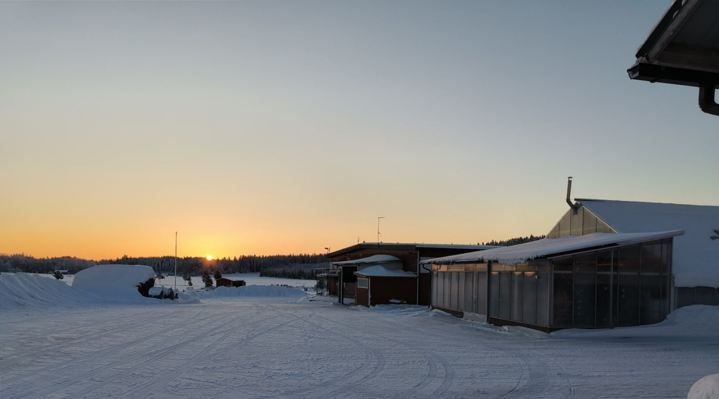 Ilmanmuutos ja säätila eri asia, Pakkasista paljon hyötyä, Neuvot oikean multatyypin valintaan, ym. 5.1.2024