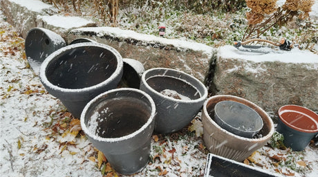 Ilmat vaihtuvat kuin seitsemännellä hevosella ajaisi, Tuhkaa - ei heitetä hukkaan, Kieloja luonnosta joulupöytään, ym. 3.11.2023