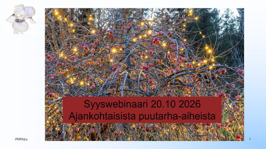 Syyswebinaari