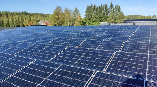 Varaukset toimitettu, Sipulikukkia ei istuteta vielä, Pihlajanmarjoista iloa ja hyötyä, ym. 15.9.2023
