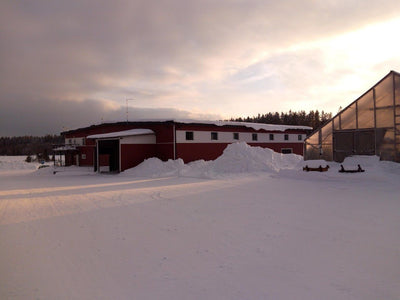 Puutarhurin Perjantaiposti 8.2.2019