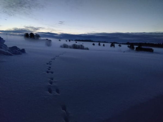 Uusia omenapuita versoista, pihapuiden kaatoaika on nyt, mullanvaihtoa vai ei ym. 24.2.2023