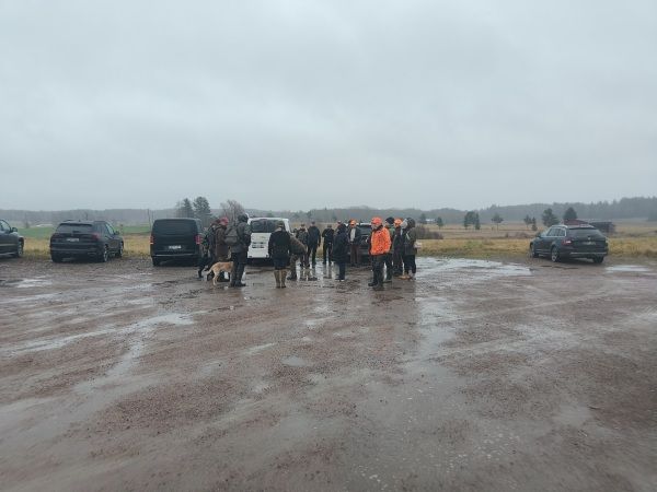 Lumet tuli ja suli, Ei huolta, ei ole jäässä, kaikki hyvin. 🧄,Ps. Toivottu opas valmistunee keväällä. ym. 28.11.2025