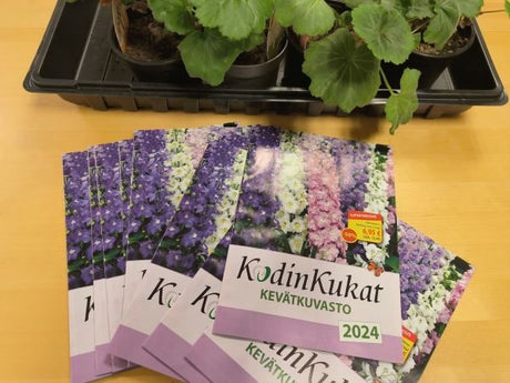 Kasvivalosta asiaa, mitä kylvetään nyt, mullan "lisäaineista" tietoa, kukkahoroskooppi ym. 1.3.2024