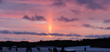 Puutarhurin perjantaipostia 13.12.2019