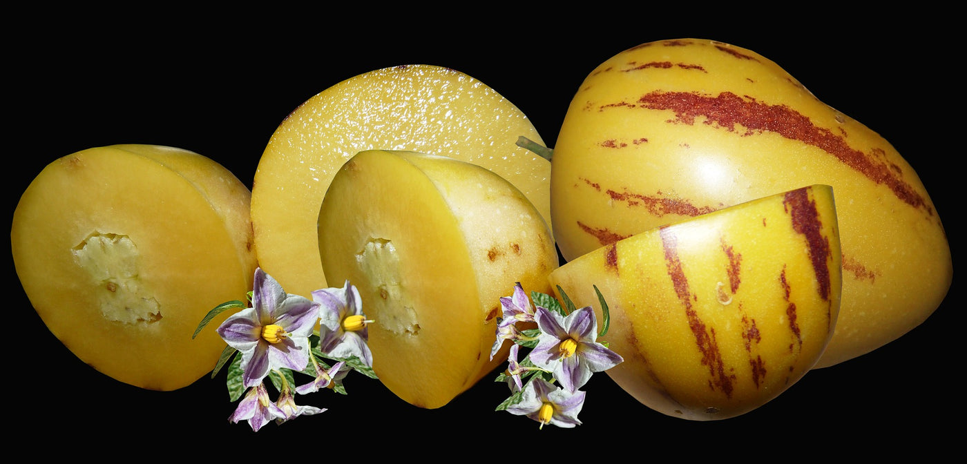 Päärynämelonin istutus ja hoito-ohjeet