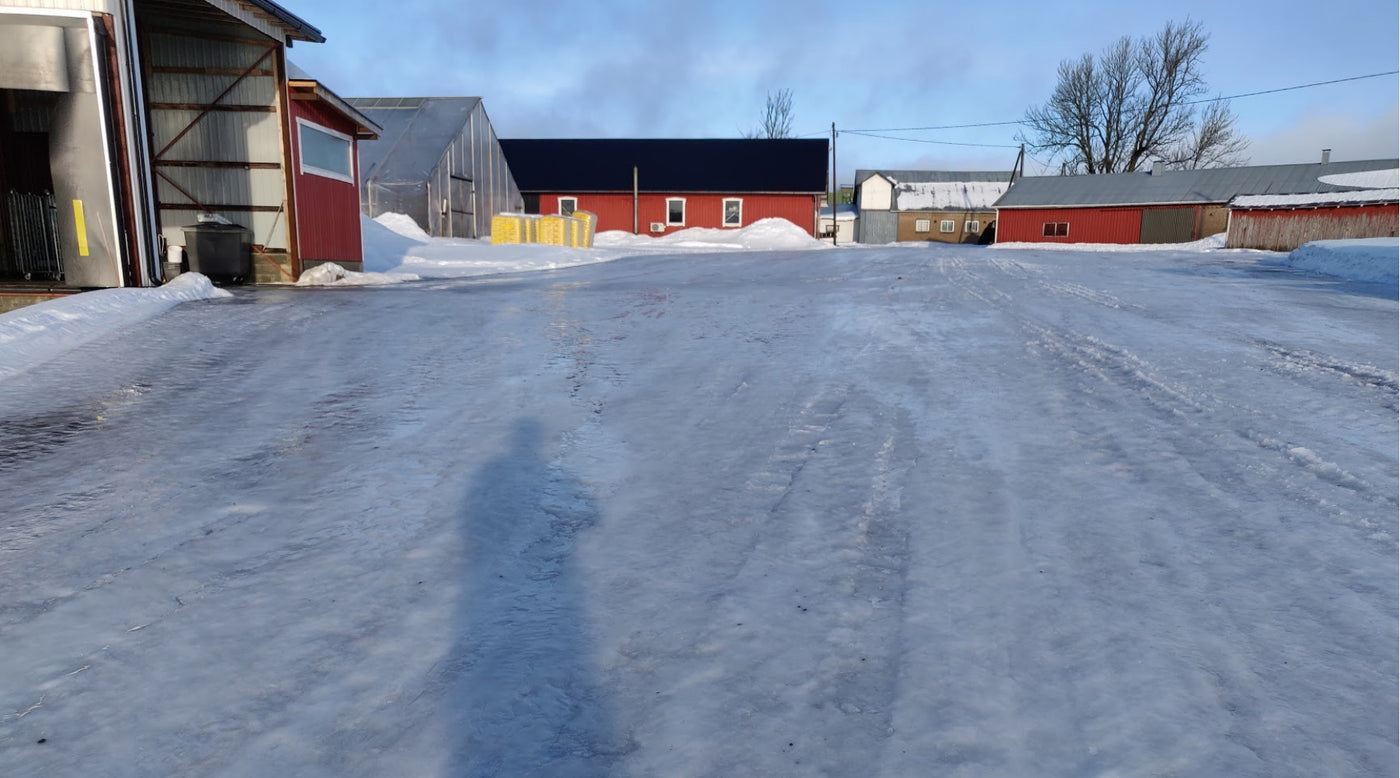 Kevätsuojaus, taimien koulunta, ym. 26.2.2021