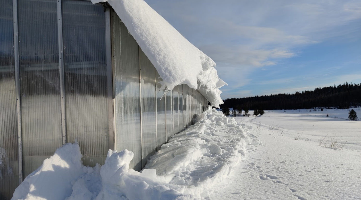 Hyvä kasvihuone järkivalinta, Siementen kylmäkäsittely, Kastelukiteistä paljon puhetta ym. 18.2.2022