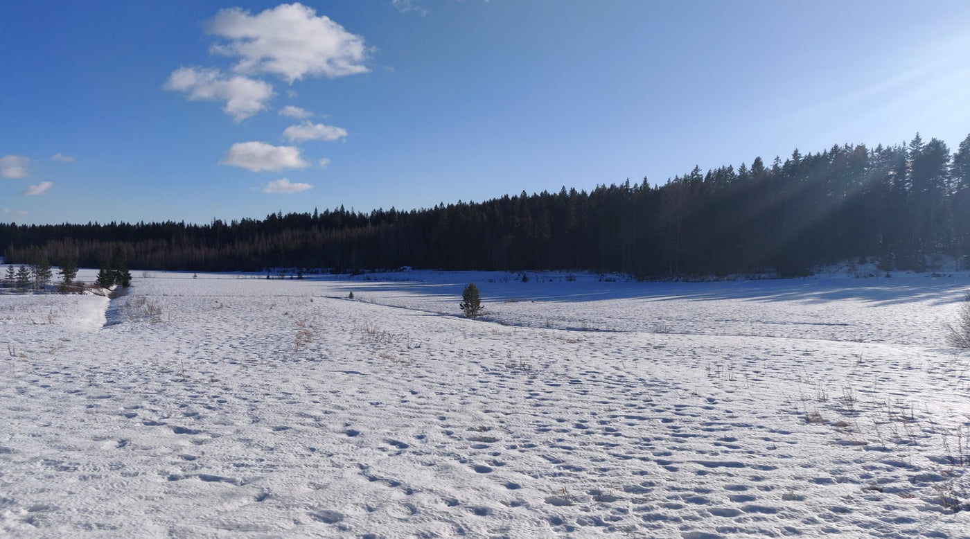 Multa-asiaa, juhannusperunat, ym. 5.3.2021