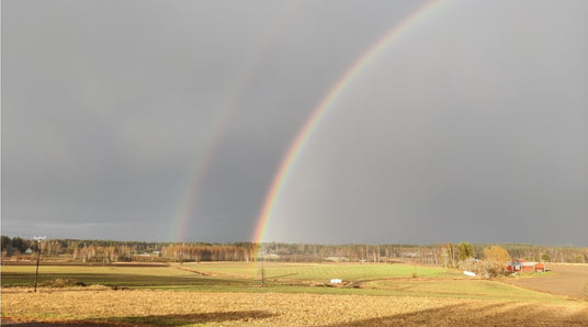 Päivät lämpiminä, mutta yöt kylmiä, Lampaanvilla ja peurat, Latvontaa ja nuppujen poistoa, ym. 13.5.2022