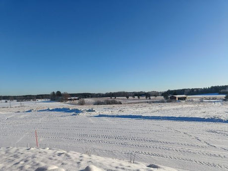 Auringossa alkaa olla jo tehoja, Varaudutaan ahavaan, Tomaatit ja paprikat, mikä muuttuu, ym. 30.1.2026